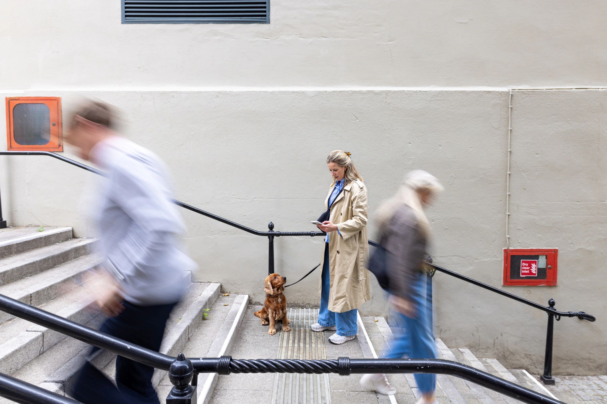 Dog walker with dog outdoors